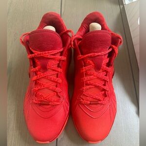 Nike Lebron XXI 21 Basketball Shoes 11.5